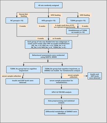 LC-MS-Based Untargeted Metabolomics Reveals Early Biomarkers in STZ-Induced Diabetic Rats With Cognitive Impairment